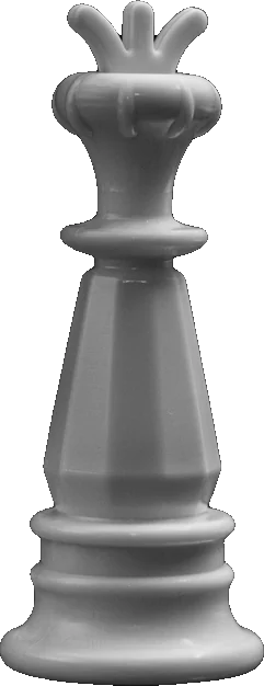 Chess king